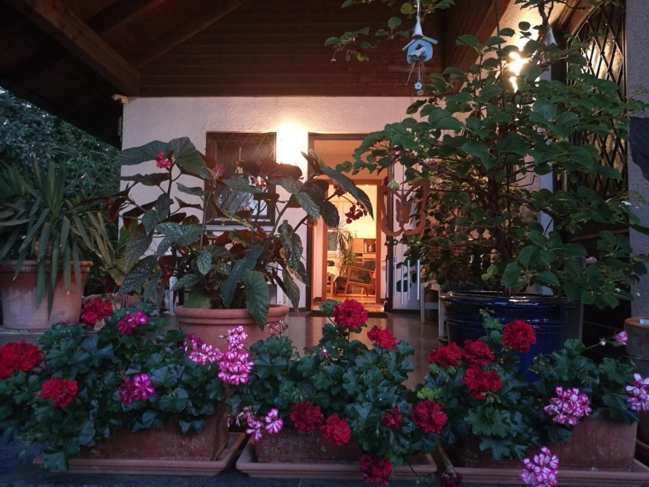 Apartment Haus Merlin Am Boeckelsberg Weimar  Esterno foto